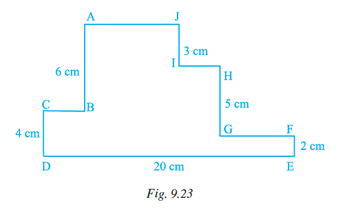 Page 274 Chapter 9 Class 7th NCERT Exemplar